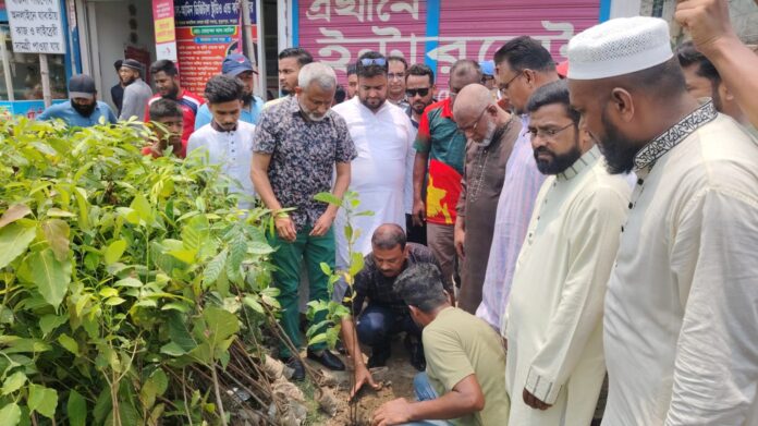 কুতুবপুরে প্রগতি ছাত্র ও যুব সংসদের উদ্যোগে ৫ শতাধিক বৃক্ষরোপন