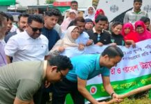 রূপগঞ্জে পরিচ্ছন্নতা ও পরিবেশ উন্নয়ন অভিযান পরিচালনা
